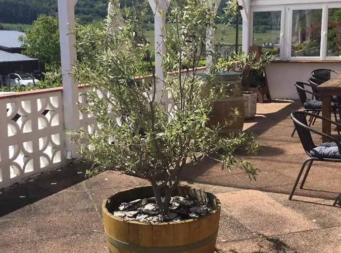 Weingut Und Gaestehaus Wolfgang Beth Casa de hóspedes Kinheim